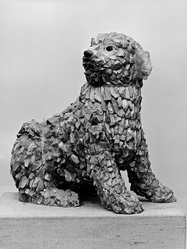 Hund
