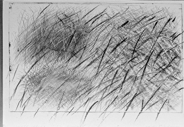 Hjortespring - reservatet 1985, pastel på ætsning