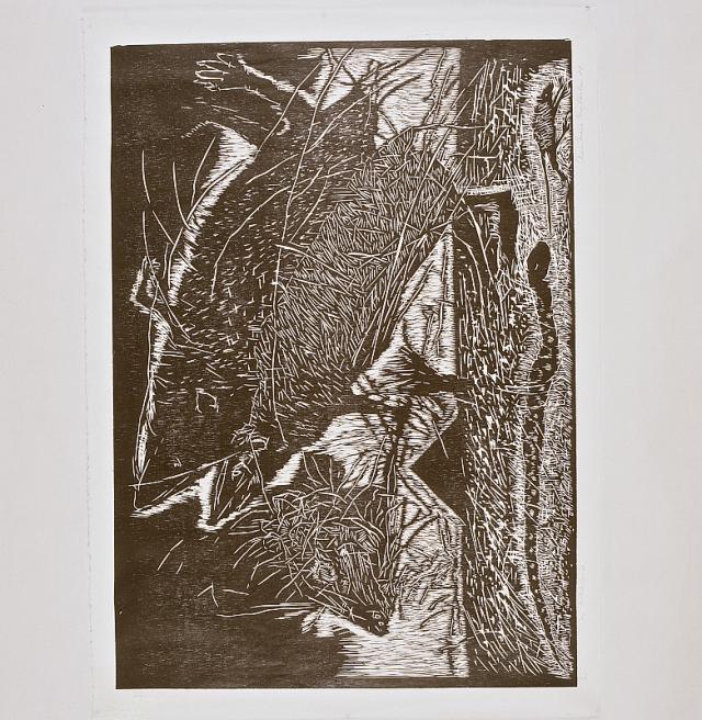 To pindsvin, 1988, træsnit
