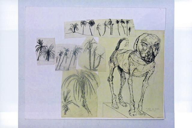 Mumie af hund ca. 1500 F. C.
