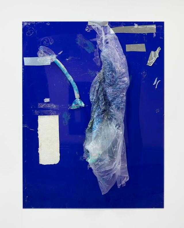 Tripping
or
Trickling blooming
or
Stumbling flowing
or
I carried away (lightly orange coloured)
I seized (colour change)
I ran (beside the real image)
I rested (blue ravine blue forrest through blue I see) 

