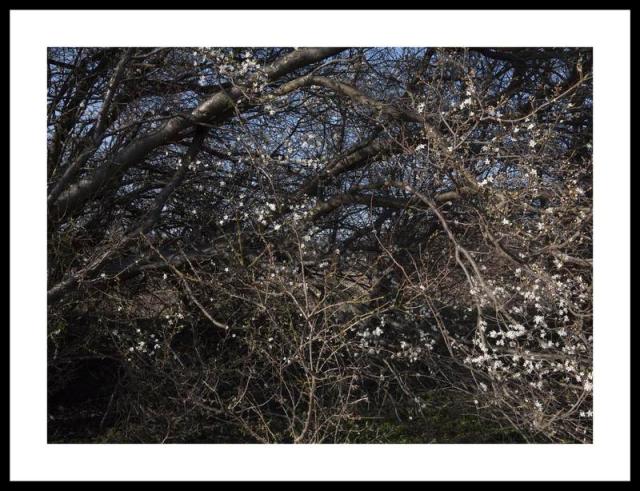 Foto: Jeanette Land Schou