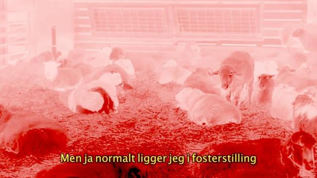 Videostill: Mia Edelgart
