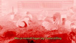 Videostill: Mia Edelgart
