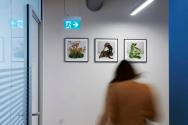 Foto: Torben Petersen