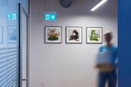 Foto: Torben Petersen