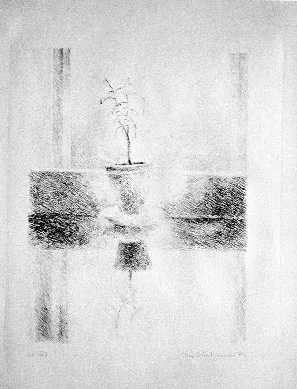 Opus 28, potteplante