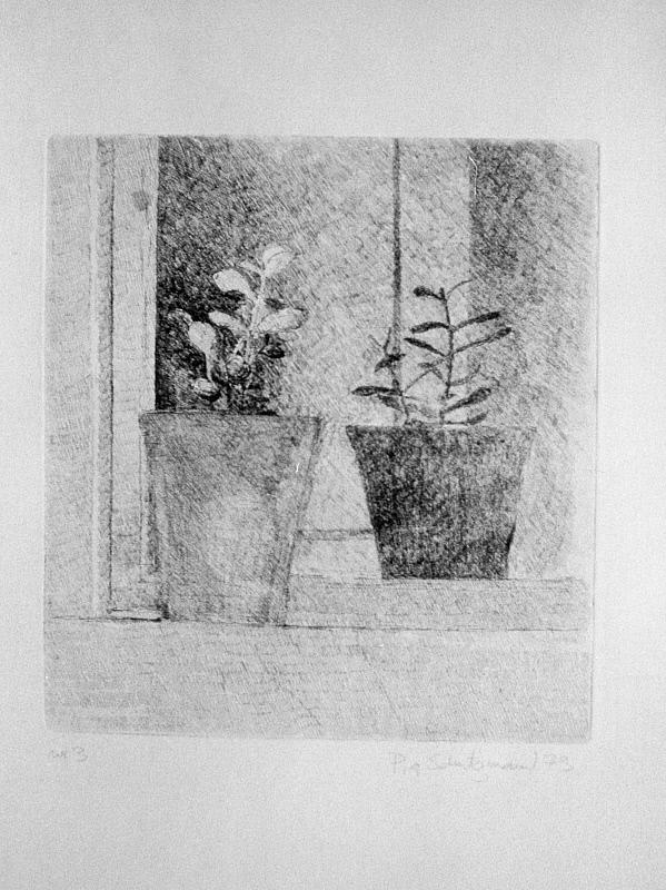 Opus 3, potteplante