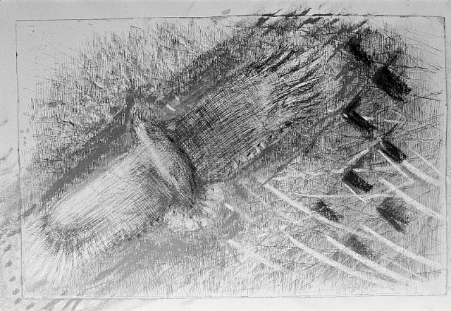 Ørn - reservatet 1985, pastel på ætsning