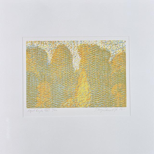 Bistrup Hegn I 1986, farvegrafik