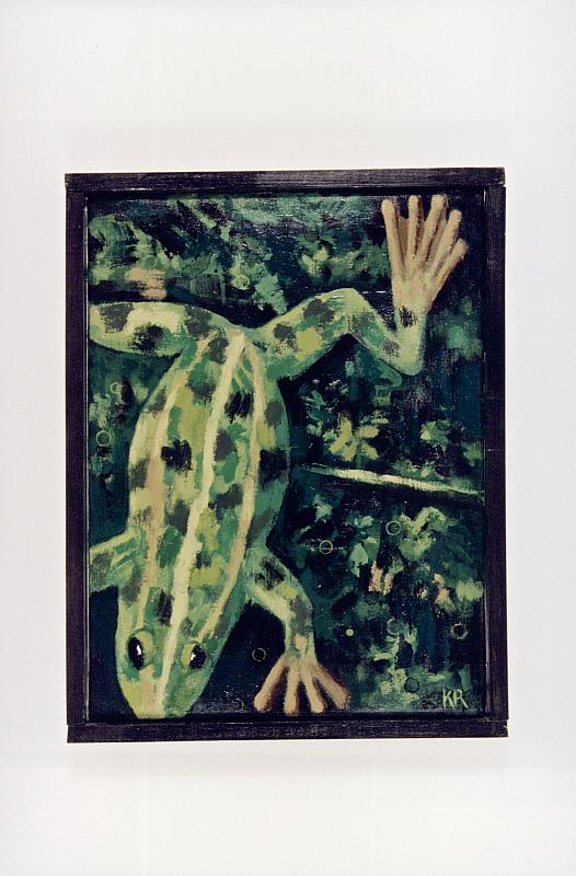 Frø - naturhistorie
