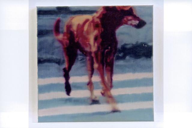 Hund