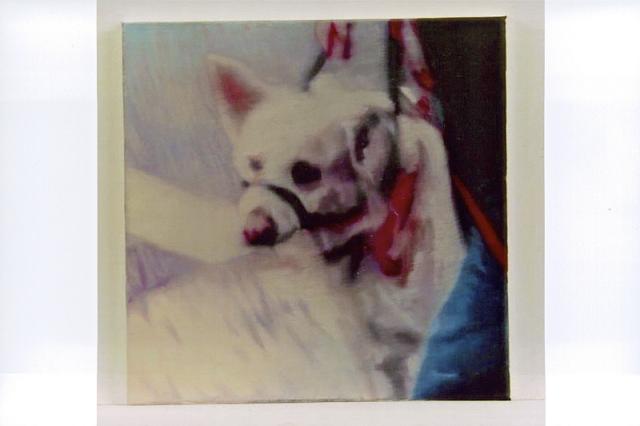 Hund