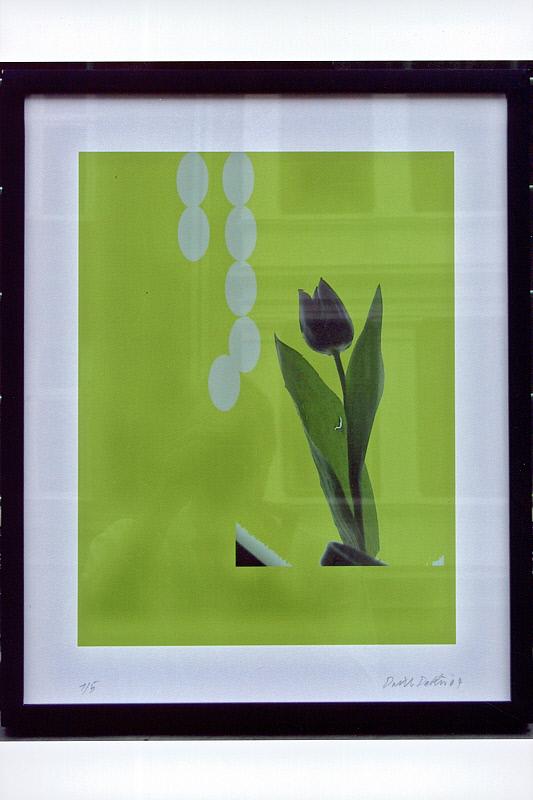 Tulip