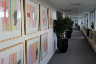 Foto: BYGST billeder