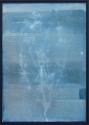 Foto: Alice Folker Gallery