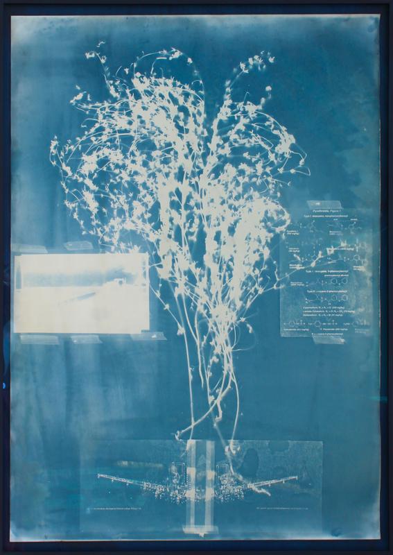 Foto: Alice Folker Gallery