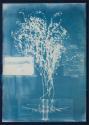 Foto: Alice Folker Gallery