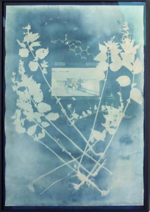 Foto: Alice Folker Gallery