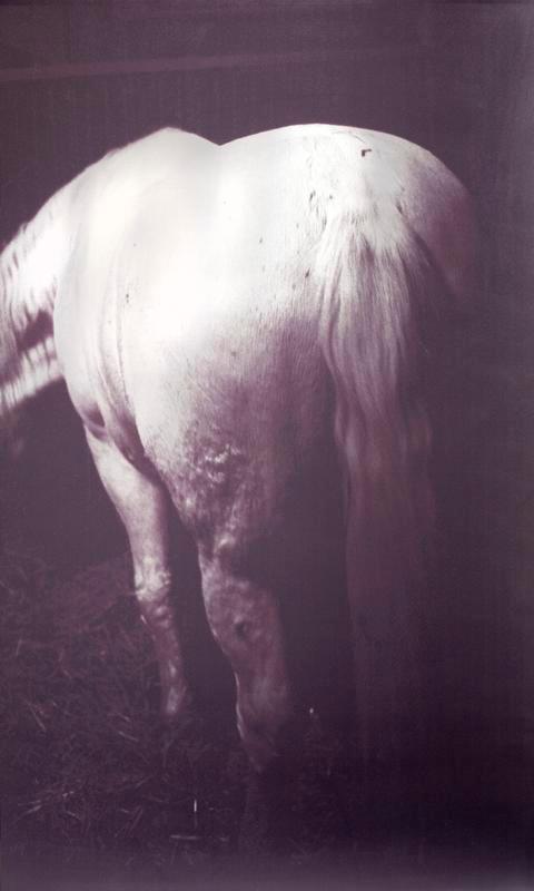 Tavler (3)