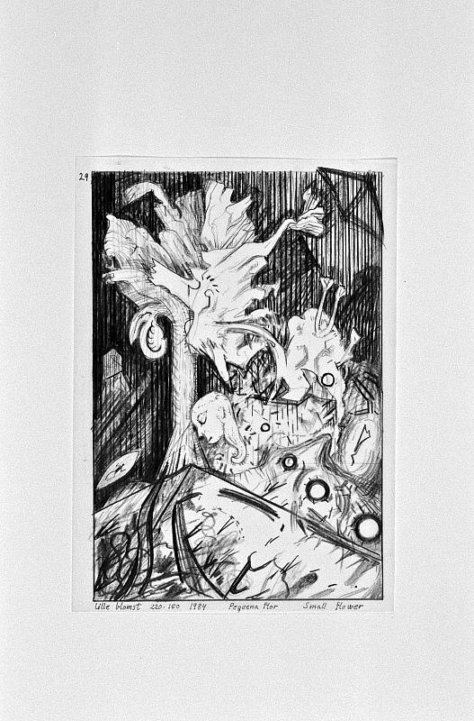 Lille blomst, 1984