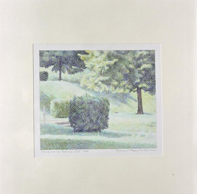 Giardino di Boboli XIX 1989, tegning, farveblyant