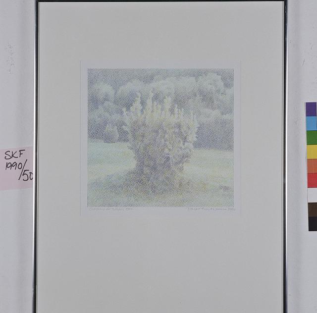 Giardino di Boboli XXIII 1989-90, tegning, farveblyant