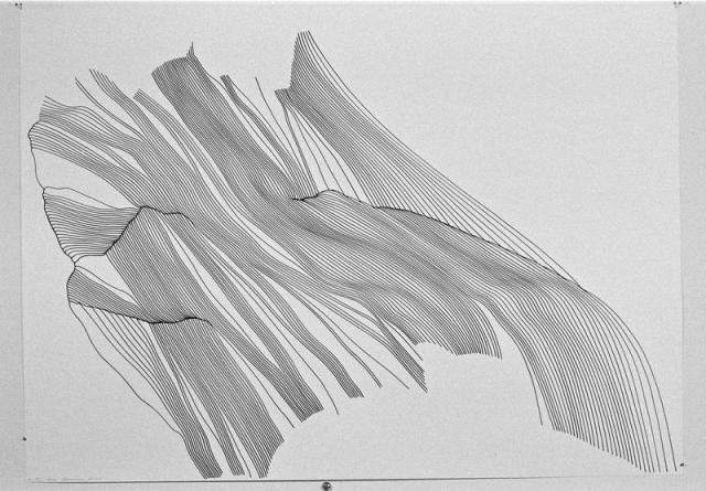 Venezia 82 Bienalserien